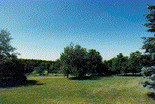 frontlawn.GIF (16138 bytes)