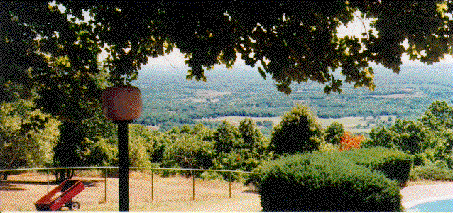 rearviewestate.GIF (98230 bytes)
