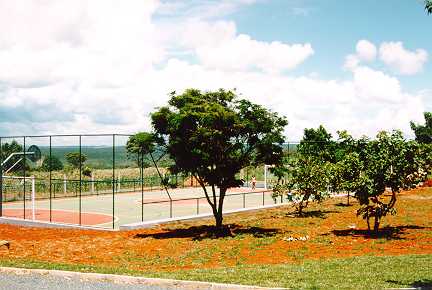 pht_24.jpg (22713 bytes)