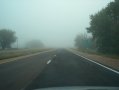 Driving_through_fog.jpg