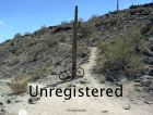 MTBing_3_20040710.jpg