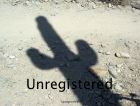 MTBing_6_20040710.jpg