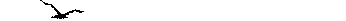 birdwide3cp.gif (3191 bytes)