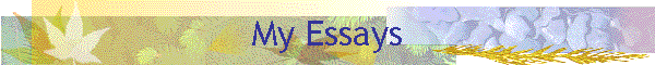 My Essays