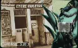 [Mex3]