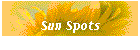 Sun Spots