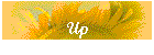 Up