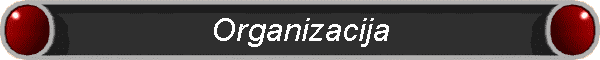 Organizacija