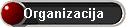 Organizacija