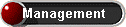 Management