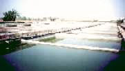 Fish ponds