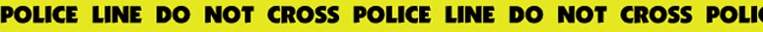 policeline.jpg (22640 bytes)