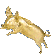 PIGS WILL FLY