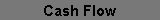 Cash Flow Calculator