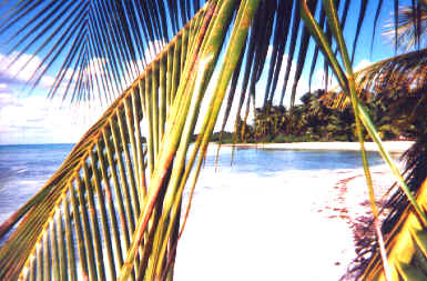 Isola di Saona