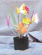 Mvc-001s.jpg (44982 bytes)