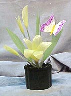 Mvc-002s.jpg (44348 bytes)