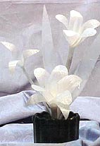 Mvc-008s.jpg (41423 bytes)