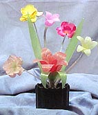 Mvc-009s.jpg (50104 bytes)