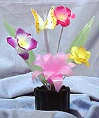 Mvc-010s.jpg (49995 bytes)