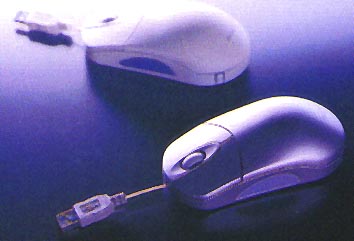 mouse.jpg (48026 bytes)