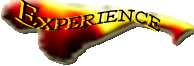 experience