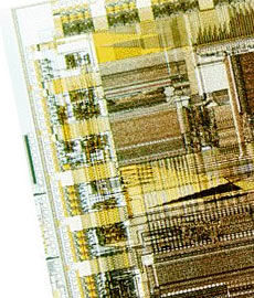 Home Page Image
