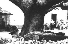 Carlos Alberto Riccelli