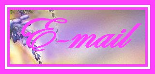 wanduck@vallnet.com