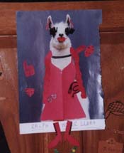 Ralph gets prettied up for Valentine's Day, courtesy of Mary and Helen.