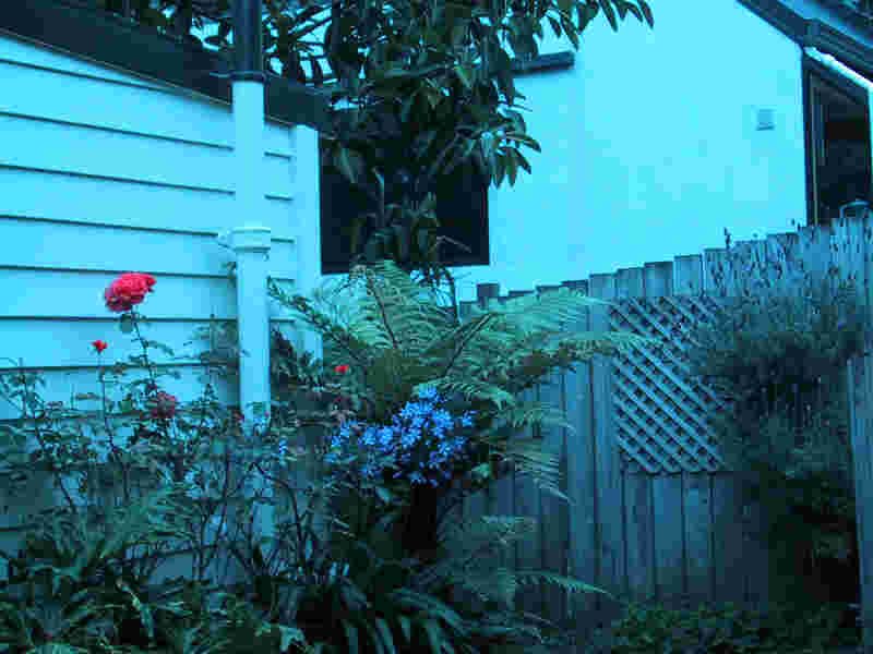 03 outside2.jpg