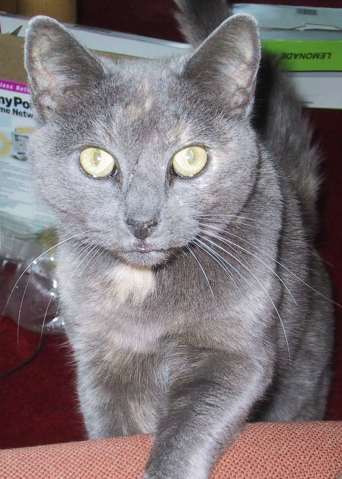 images/fang4.jpg
