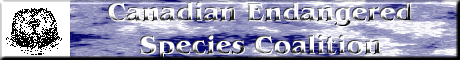 Canadian Endangered Species Coalition