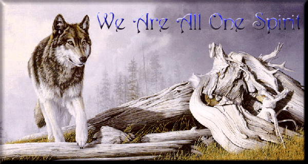 wolf3