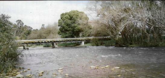 The King River