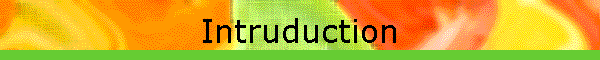 Intruduction