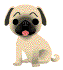 benben.gif (6497 bytes)