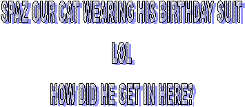 SPAZ OUR CAT WEARING HIS BIRTHDAY SUIT
LOL
HOW DID HE GET IN HERE?