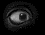 eyeball.gif (2956 bytes)