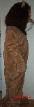 Lion side