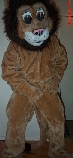 Lion Play