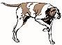 Dog.bmp (6292 bytes)