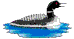 Loon.BMP (3530 bytes)