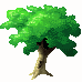 Tree.bmp (5932 bytes)