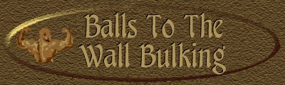 Balls To The Wall Banner
