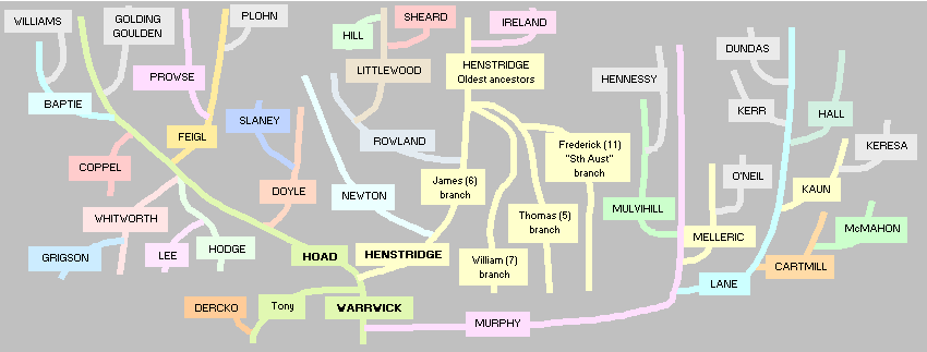 Family tree picture - main surnames are Hoad, henstridge, feigl, doyle, newton, rowland hill, littlewood, murphy, cartmill, lane, foster