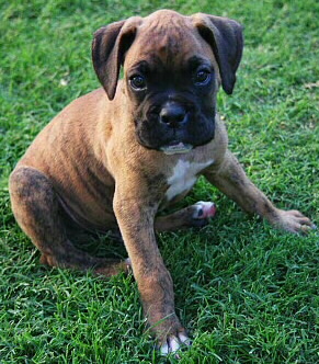 Click here to see more of my baby pictures!