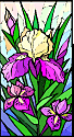 Click here to see some of our Backyard Flowers