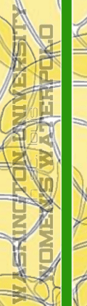 webpage_23