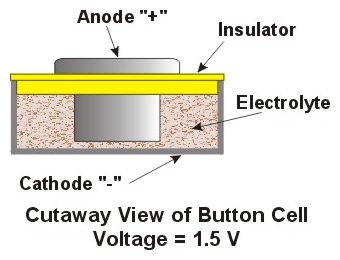 Cutaway of Button Cell